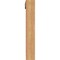 Ekena Millwork Olympic Traditional Smooth Bracket w/ Offset Brace, Western Red Cedar, 5 1/2"W x 32"D x 36"H BKT0604X32X36OLY01SWR - alternate 4